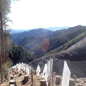 景色良し
白岩山山頂