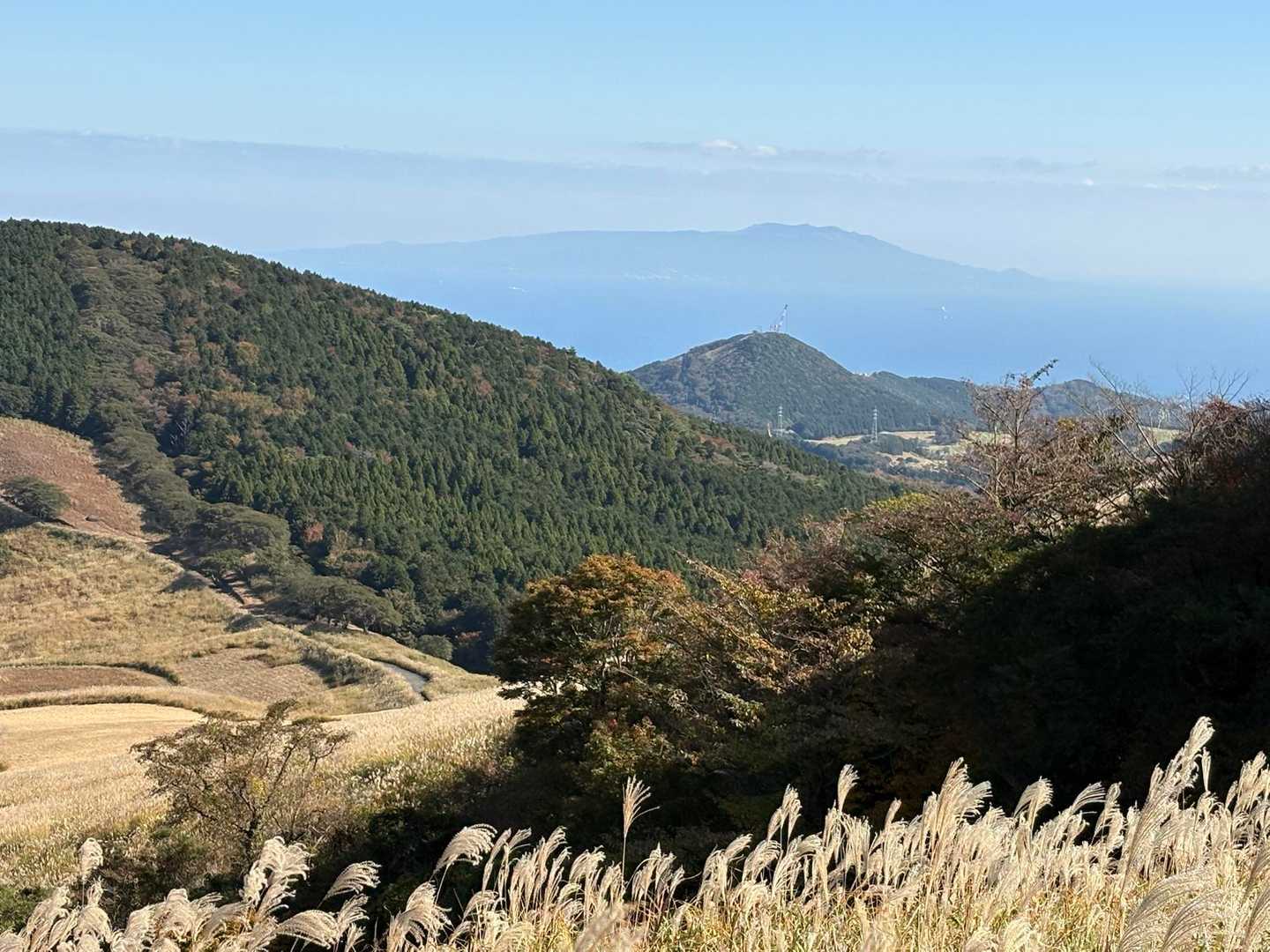 大島が見えます🏝️