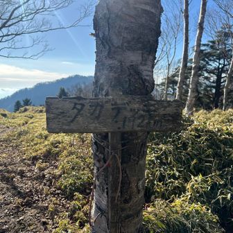 雨ヶ岳かと思ったら違った