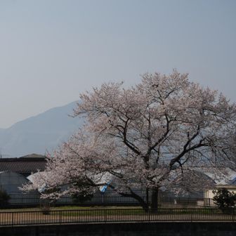 下山して今日いちの風景✨
後ろは武甲山
