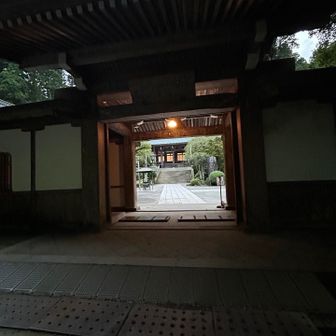 ギリギリ見えて良かった