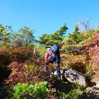 ここを超えると、本格的な登山道になります。