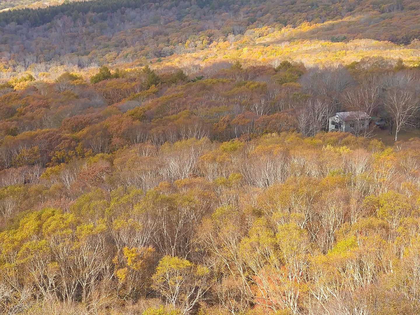 兜山荘