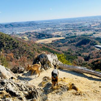 いっとこは360°景色良いです💕