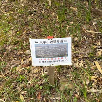 急登とコメントでありましたが、セッカチな私は敢えてココを登ります💦