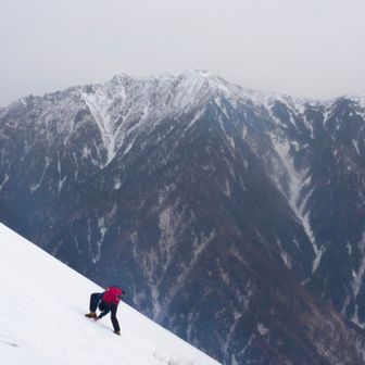 ﾊﾟｸﾊﾟｸｻﾃﾝ