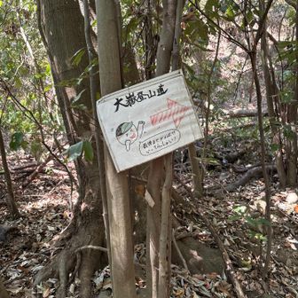 手書きの案内標識あり。ありがたい。