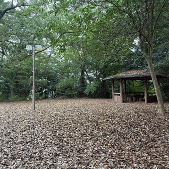 東屋ありだけど、だれも通ってないようです
落葉がかなり積もっていてフワフワ