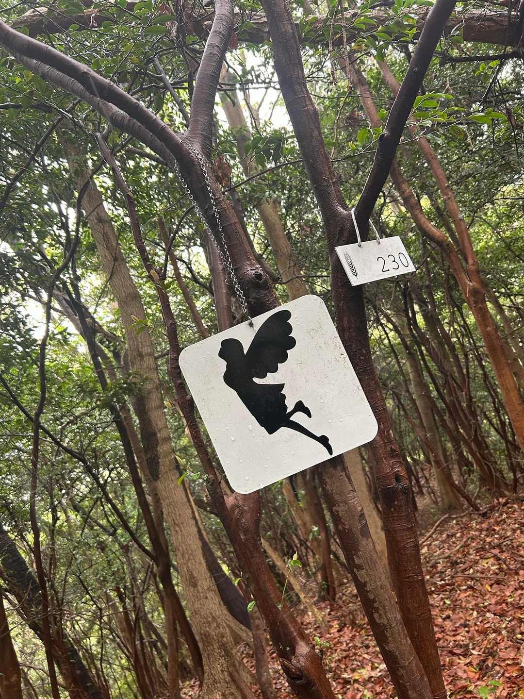 コレですよ…癒される
