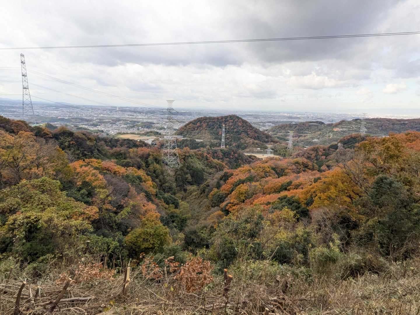 二上山 往復コースの写真