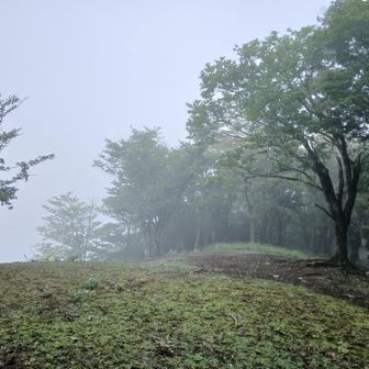 善六山山頂　ここも標識見つからず　晴れてたら景色よさそう