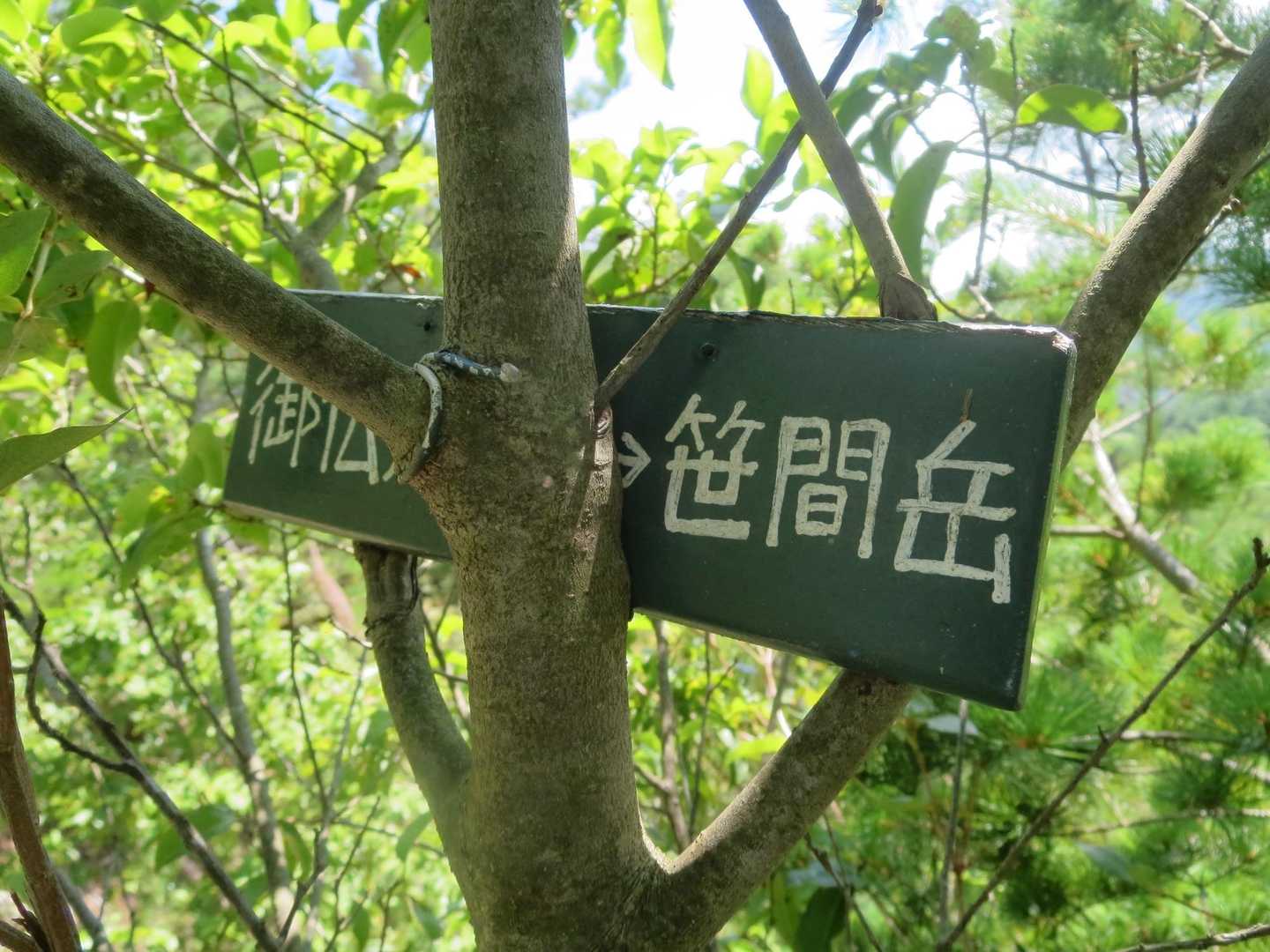 さりげない看板がいい