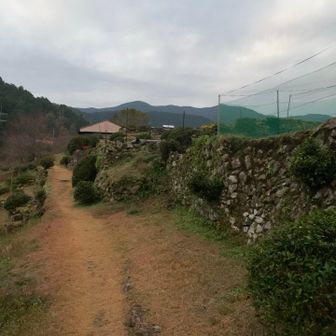 ゆっくりしたいところでしたが朝も早いのでウロウロせず通り過ぎます。