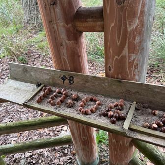 公園の東屋にも、こんな工夫が　
ここの日付は更新されていました
