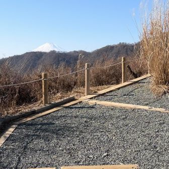 ここからも富士山がよく見えます。