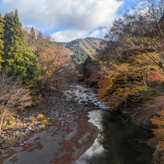 道の駅から登山口までの愛知川