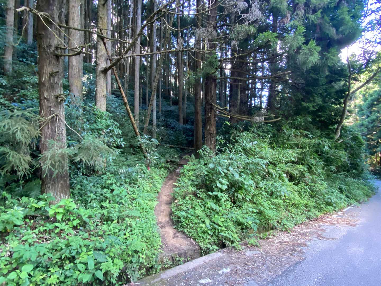 ここに着地｡
無事げざ～ん＼(^o^)／
お疲れ様～

地下足袋での水遊び楽しかった🤗

