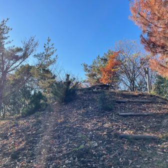 砦跡は一段高くなってます