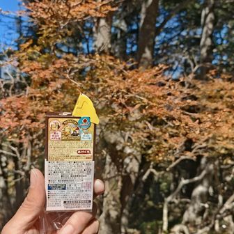 まさかのノーエンゼル💦でも今日は大無間山登頂の喜びの方が勝りました🪽