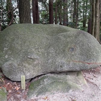 カエル石
とくにこの辺から山頂まで涼しくていい感じです。
