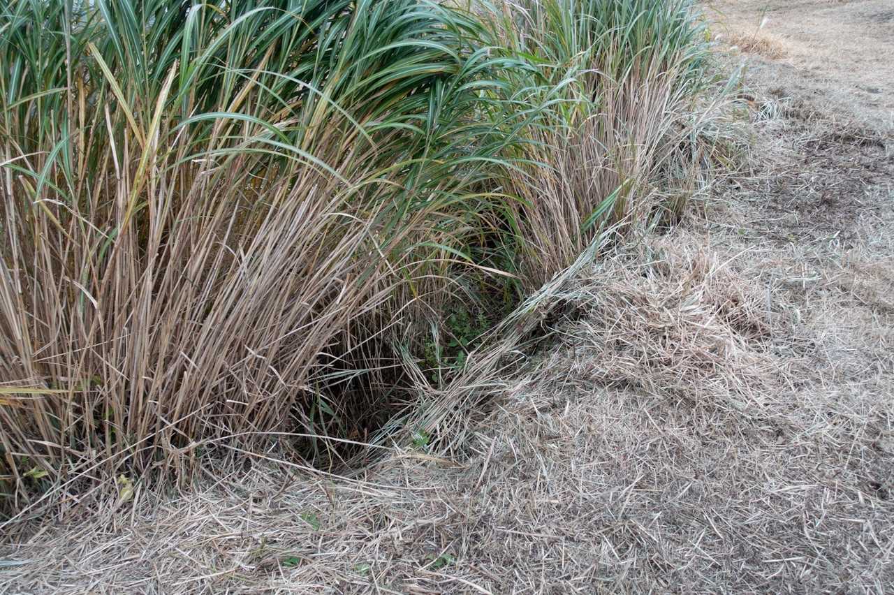 えっ⁈ ここ⁉︎ 
これタヌキ穴（笑）
突入じゃ〜！