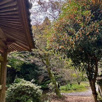静かで雰囲気のある山庵寺に到着✨