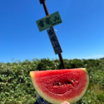 冷え冷えのこだまスイカ🍉
山スイカにハマりそう😋