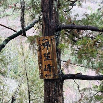 帰望峰、上尾の岩の基部を歩く