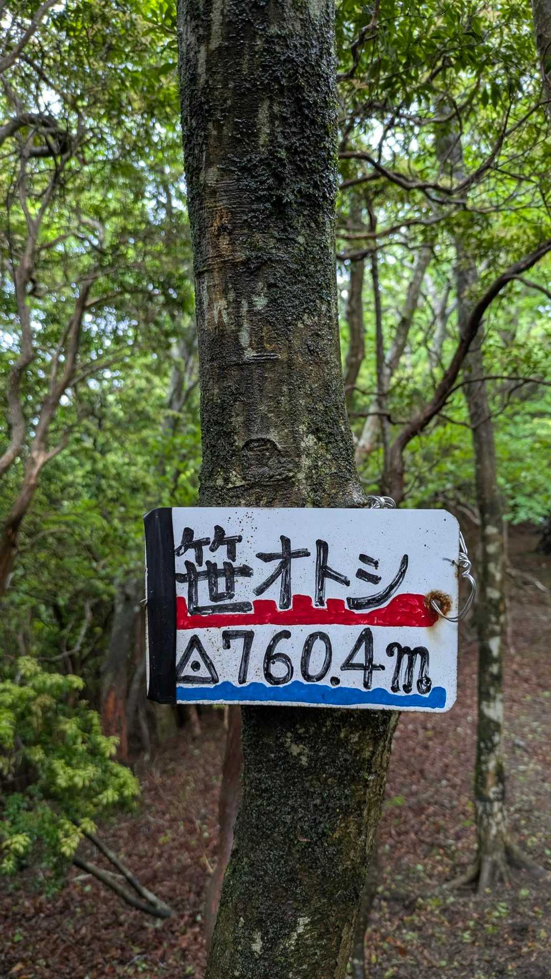 笹オトシ登頂