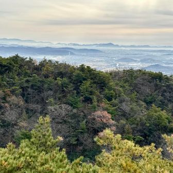 工場の水蒸気がノロシに見えました🤪