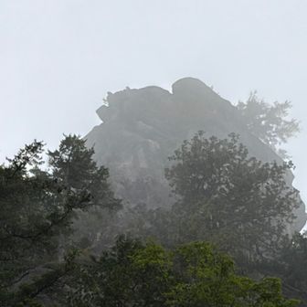 あれ？よくみると、獅子が上を向いて吠えているかのよう🦁