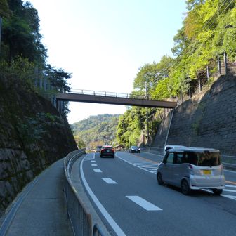 やっと日影。うれしいです。東海自然歩道の下をくぐります。