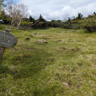 茶臼池の隣の草原。テント禁止地