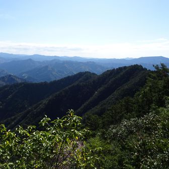 瑠璃山山頂からの景色
休憩してきた道を戻ります🍵
