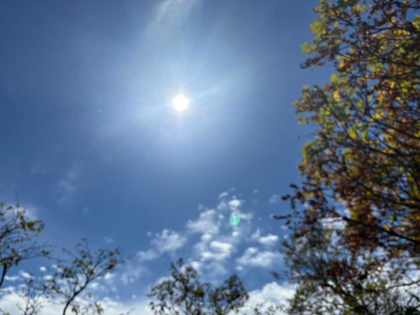 太陽☀️ギラギラ　暑い🥵　汗💦💦💦