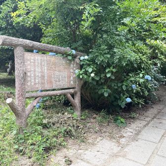 道路を渡ると『交野山来光』の看板です🪧