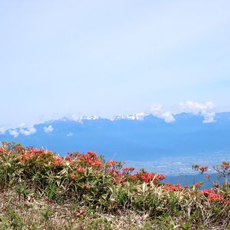 スタートして直ぐに気持ちのいい草原歩き🎵