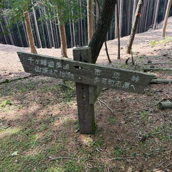 案内もしっかりあるけど、普通に歩いて迷うポイントも無し
