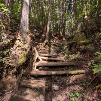 そして馬の背道から再び山頂広場を目指す。