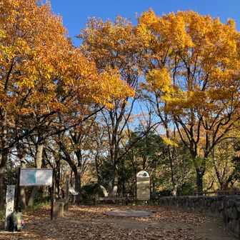 今回からミャクミャクをお供にする事に。
愛称はどしよかな、
ミャク子
ミャク蔵
ミャクの介
ミャクの信
おミャク
ミャクの氶
…なんでもいいか。
