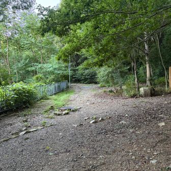 岡本八幡神社の横からスタート
