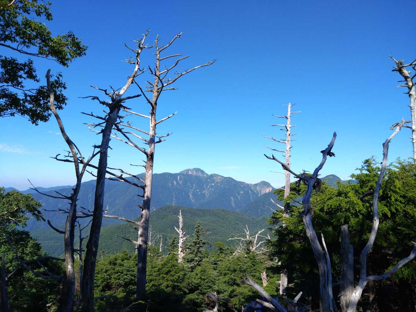 山王帽子山の手前…
日光白根山がキレイ✨🤩