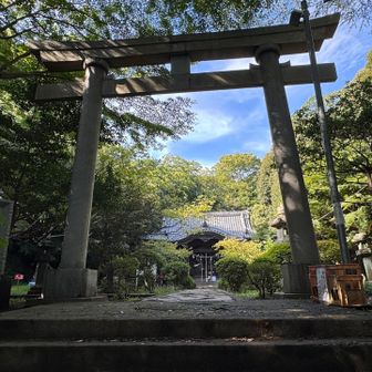 この鳥居は、33代横綱、武藏山武（むさしやまたけし）が昭和５年に寄贈したとのこと🙇‍♂️