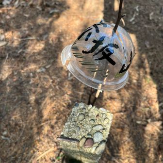 行き通り過ぎてしまった赤坂山
無事到着🙌