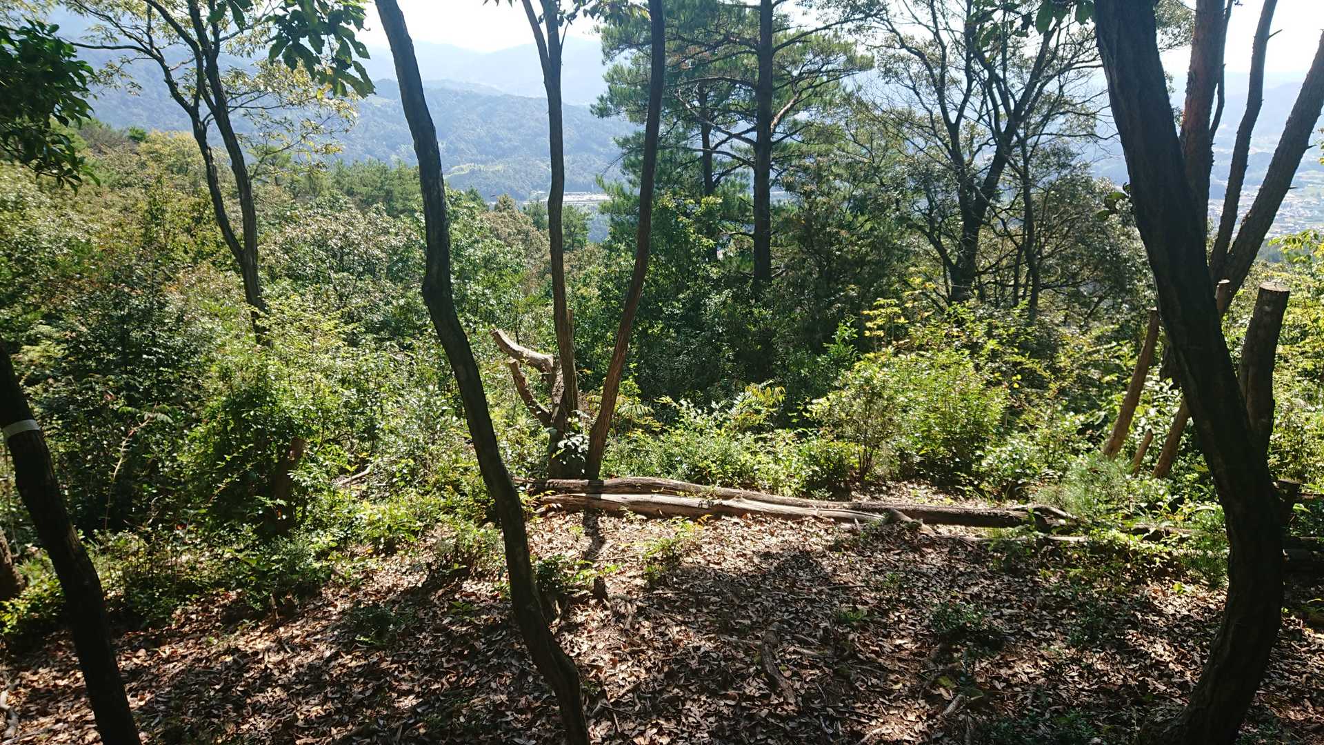 山頂からの展望はまずまず
倒木のベンチは暑いので木陰で水分補給
30℃近い気温で汗だく👕💦