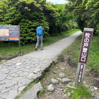さぁ、ここからスタート
