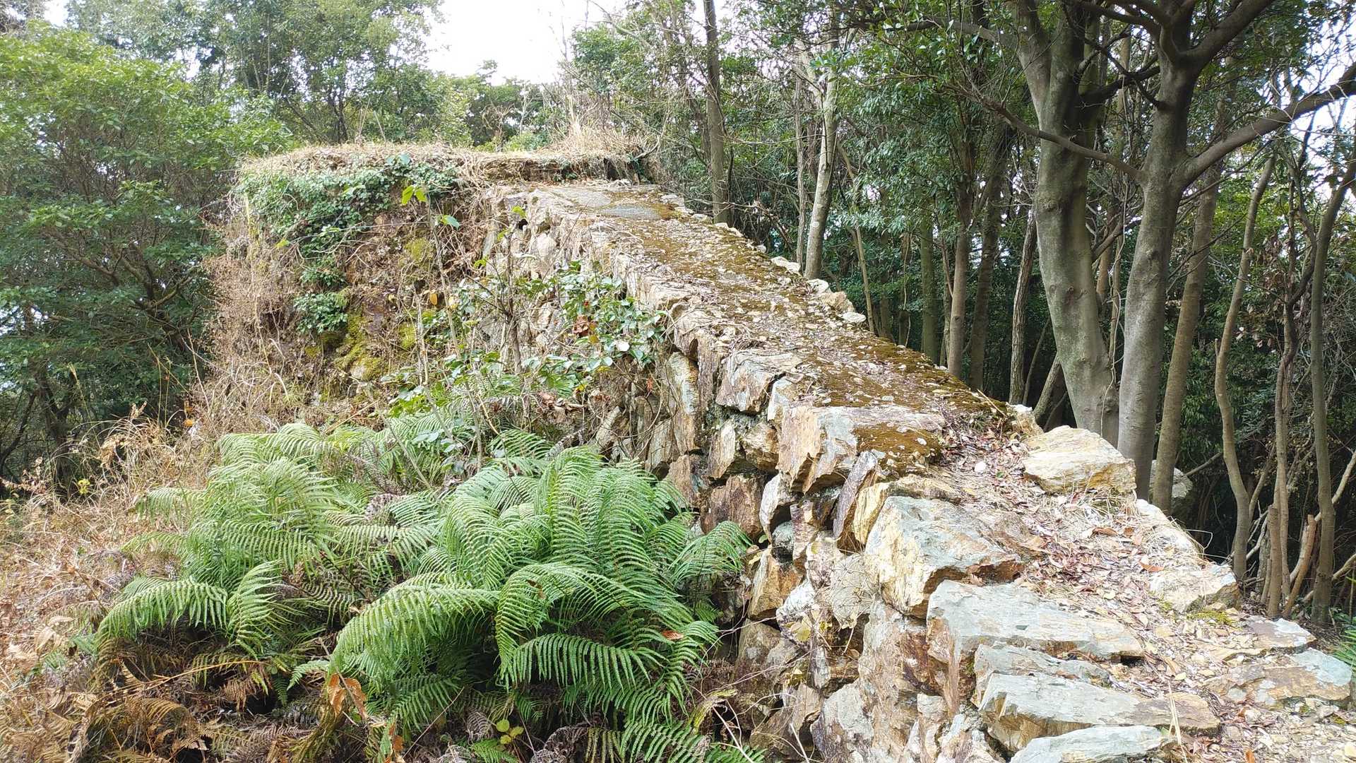 昇仙峰登山口-昇仙峰 往復コースの写真