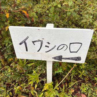二本ボソからすぐのところに、イワシの口という展望台があります