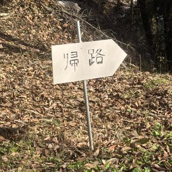 戻って来ました、車は帰りはこちらから下る？道は狭いですし、特に桜が咲く時期はルートを分けないと大変でしょうしね。