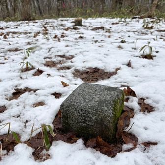 どっちがほんとの三角点？
